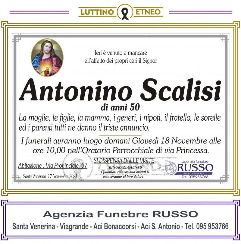 Antonino  Scalisi 